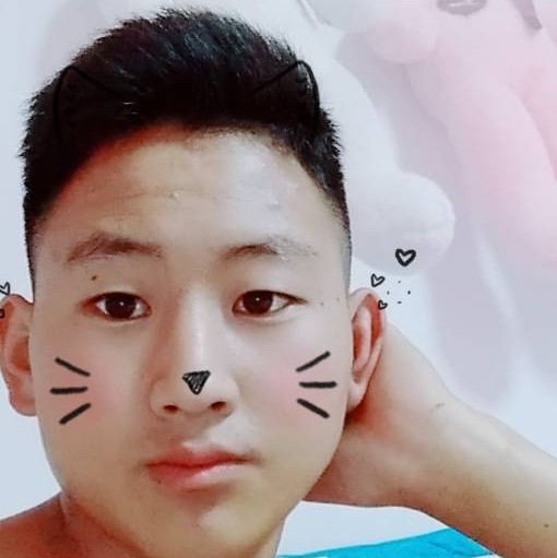 暖风过境的照片
