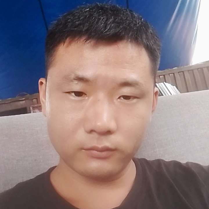 绵密羊杨的照片