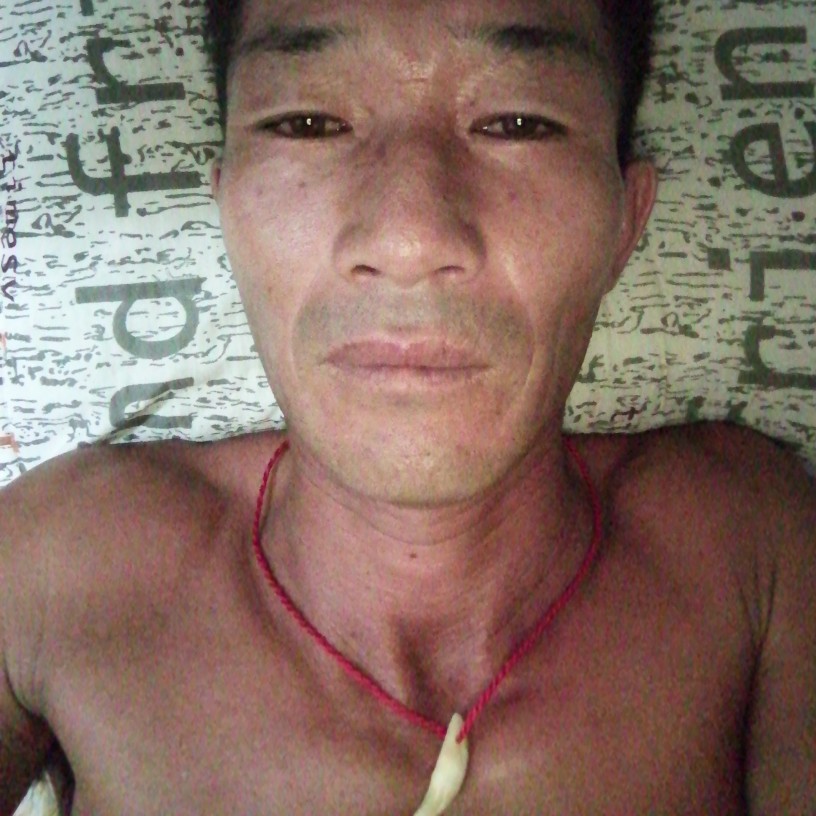 英俊爱恋鸵鸟的照片
