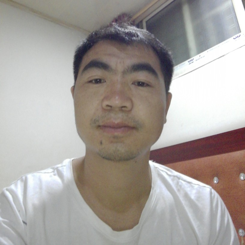 牡丹的富贵的照片