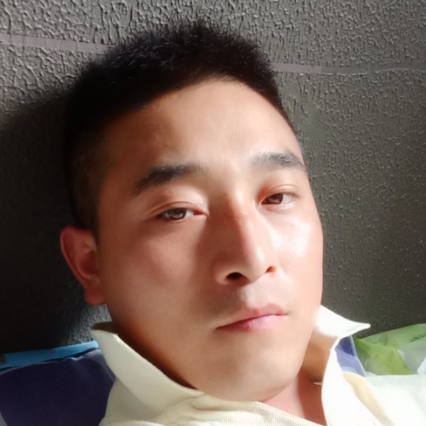 老鼠蹁跹迷路的照片