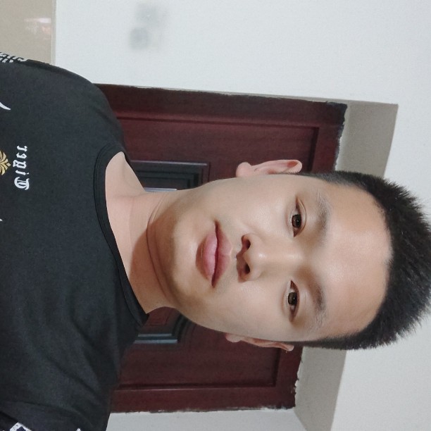 向日葵零碎的照片