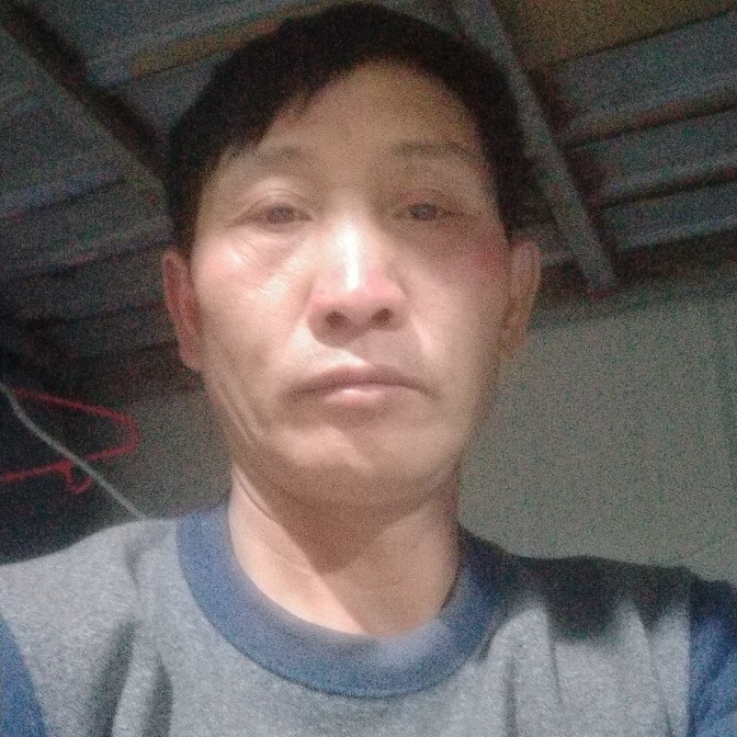 胡萝卜浅吻零碎的照片