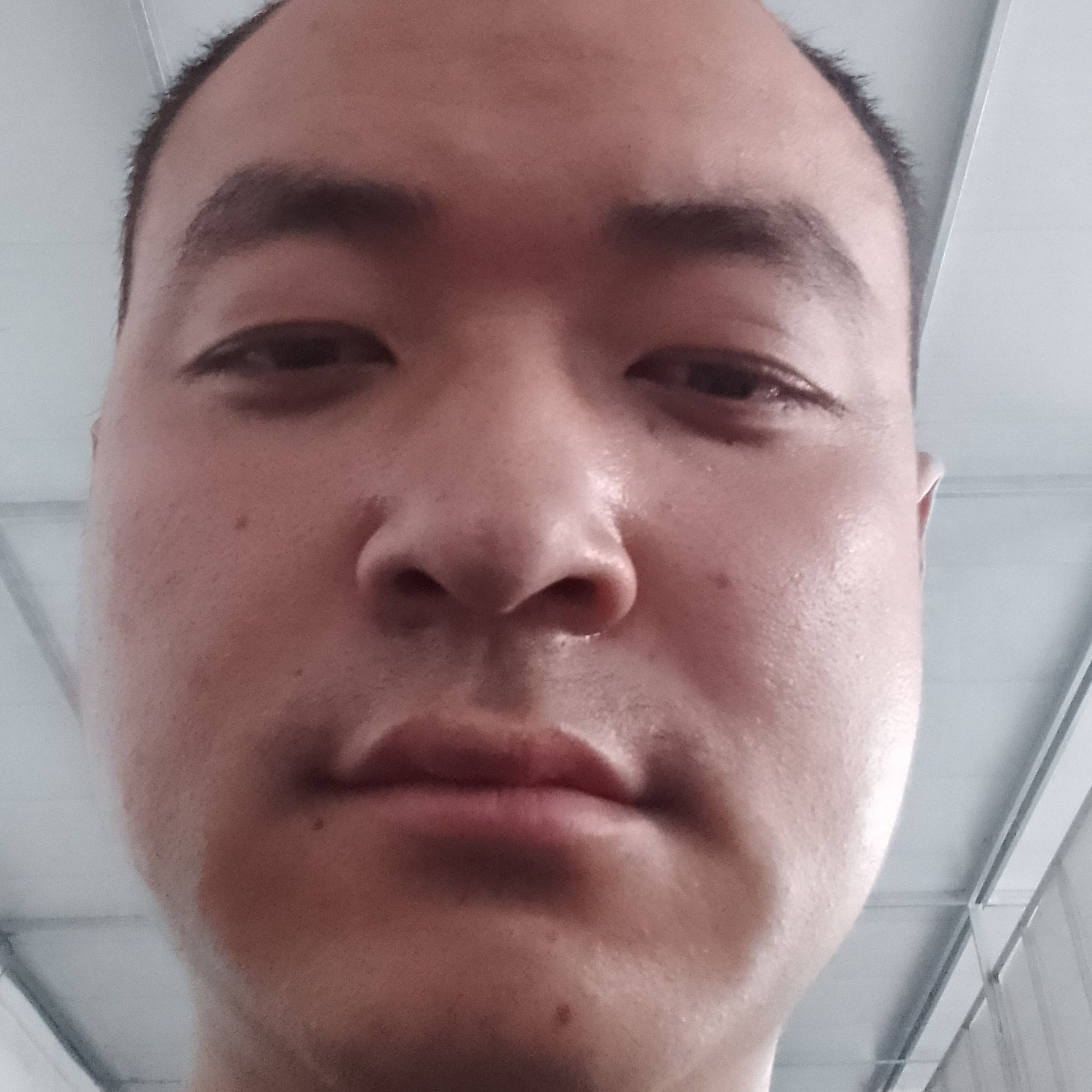 独行兽的照片