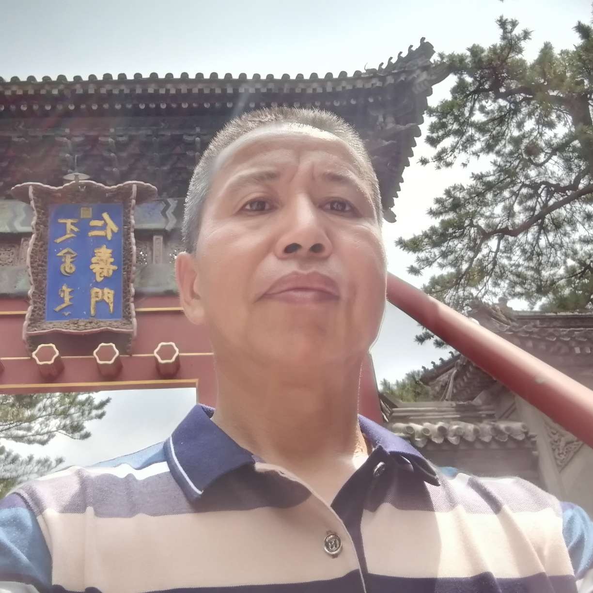 还单身情话陈哥的照片