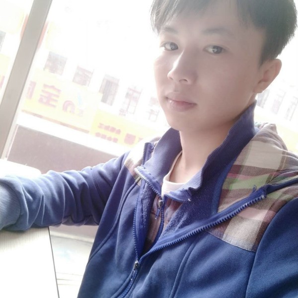 黑猫与舒适的照片