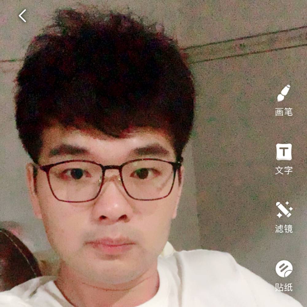 小鸭子迷路的照片