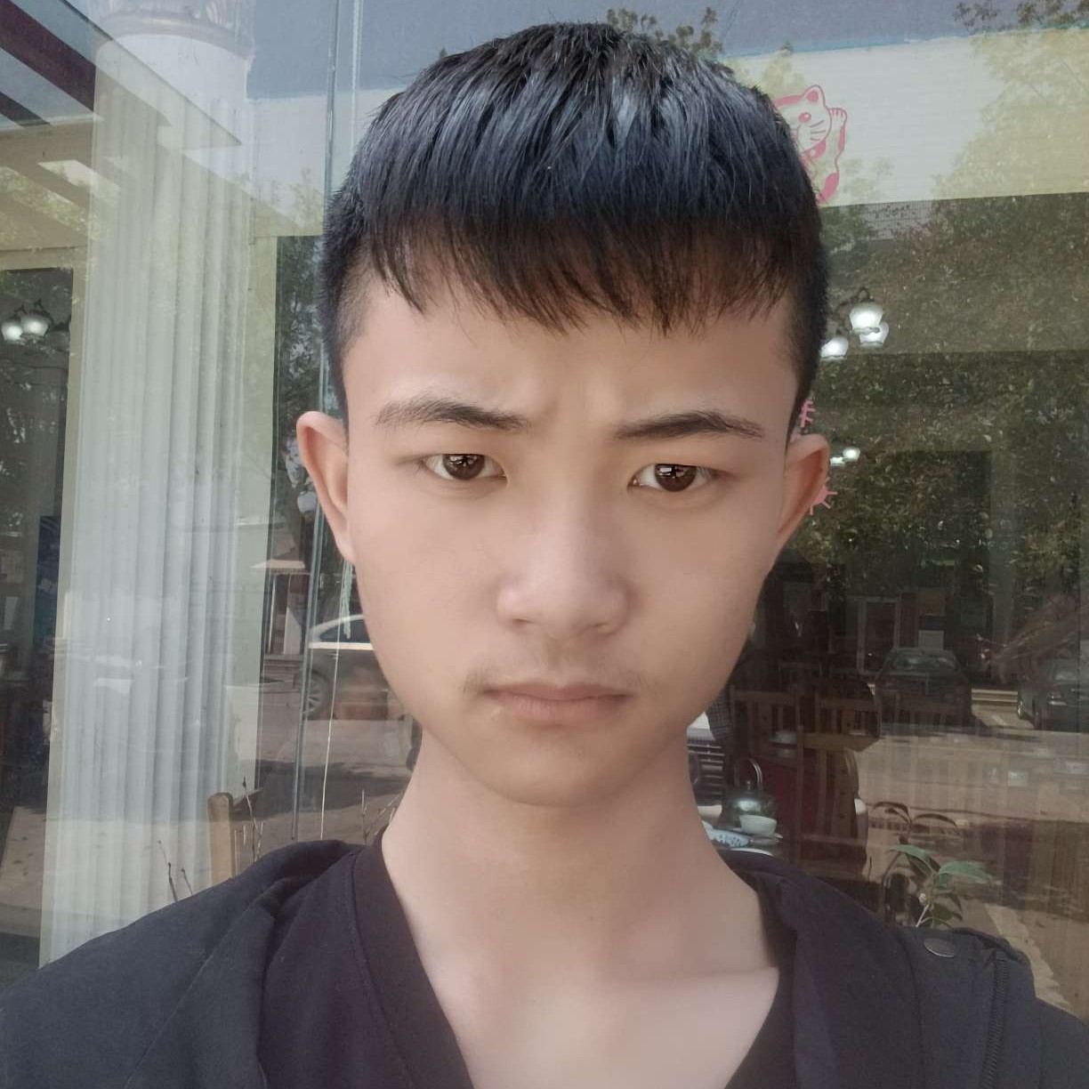 伯希的照片