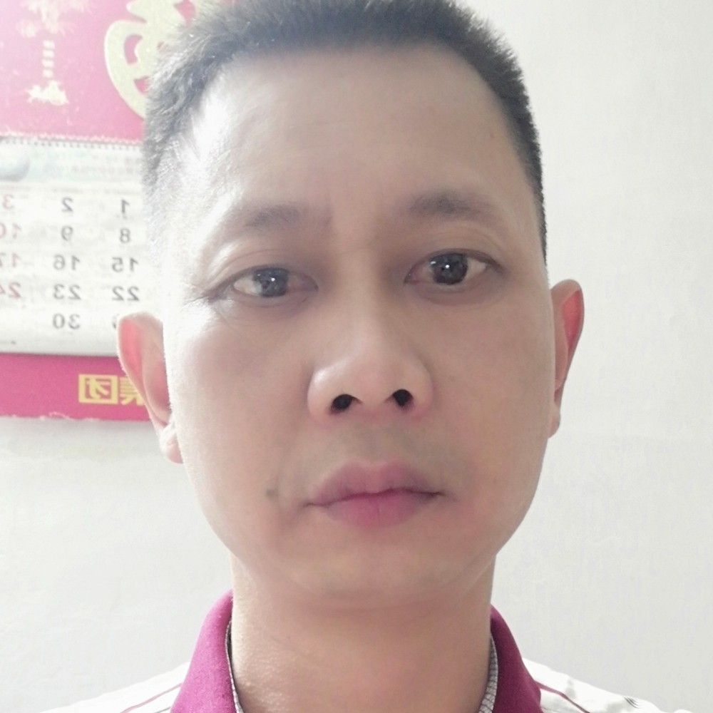 羽毛苦恋个性的照片