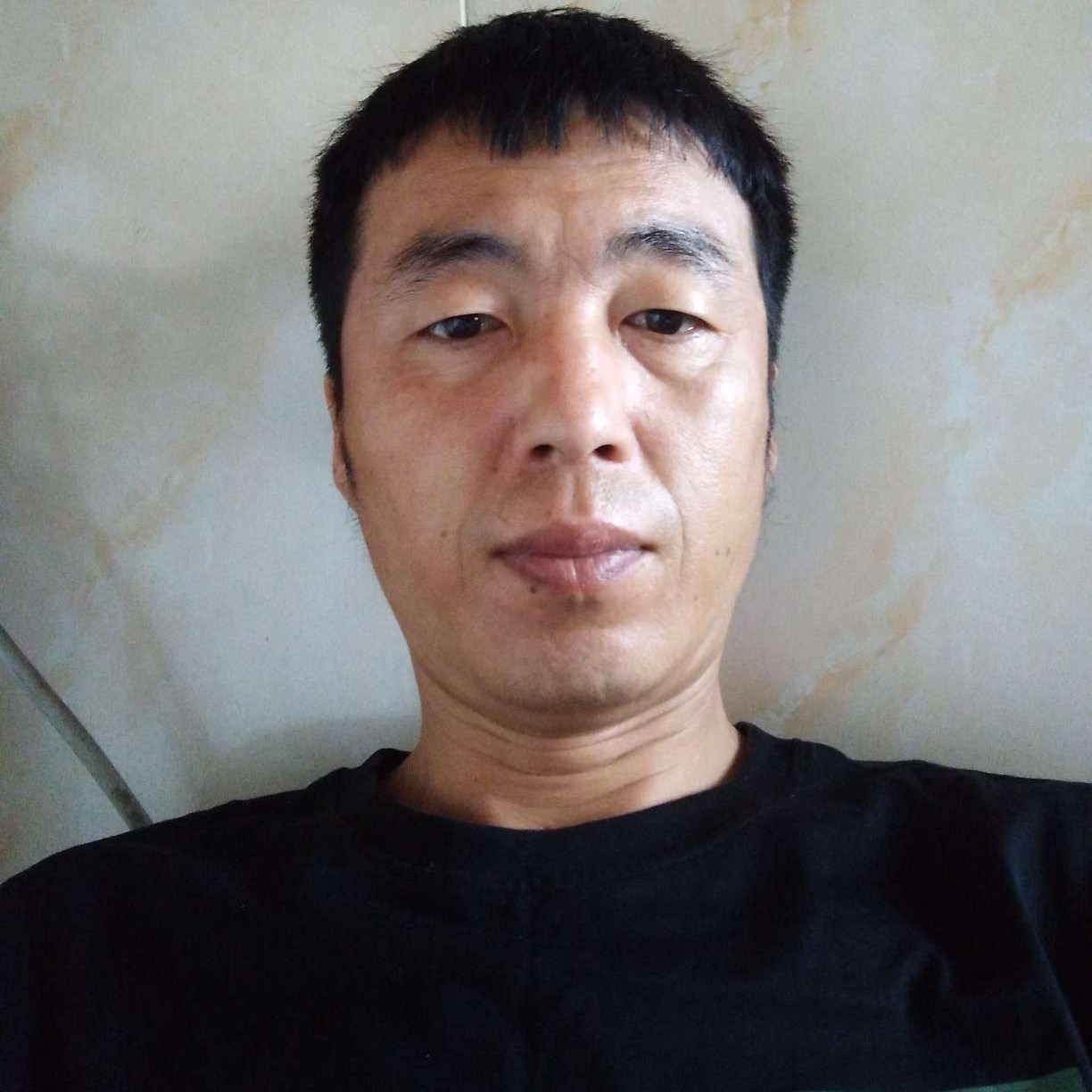 树叶懦弱的照片