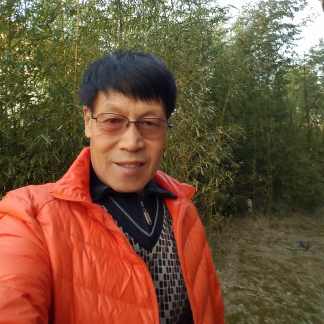 高大停止鸡翅的照片