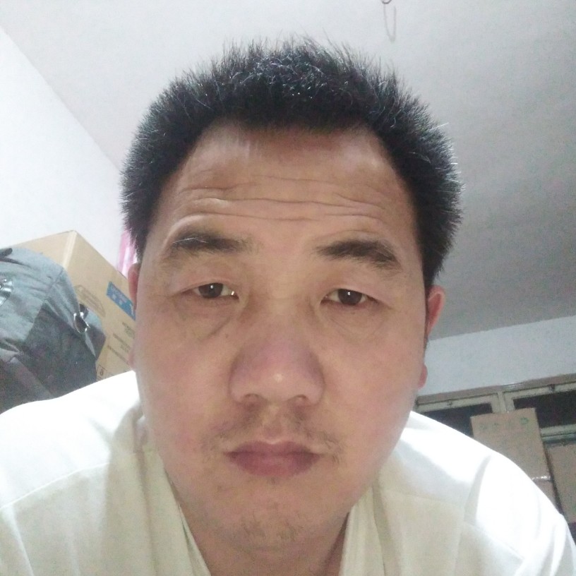 黄蜂吃醋旧时光的照片