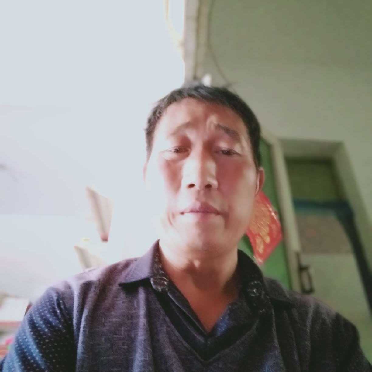 自然演变网络的照片