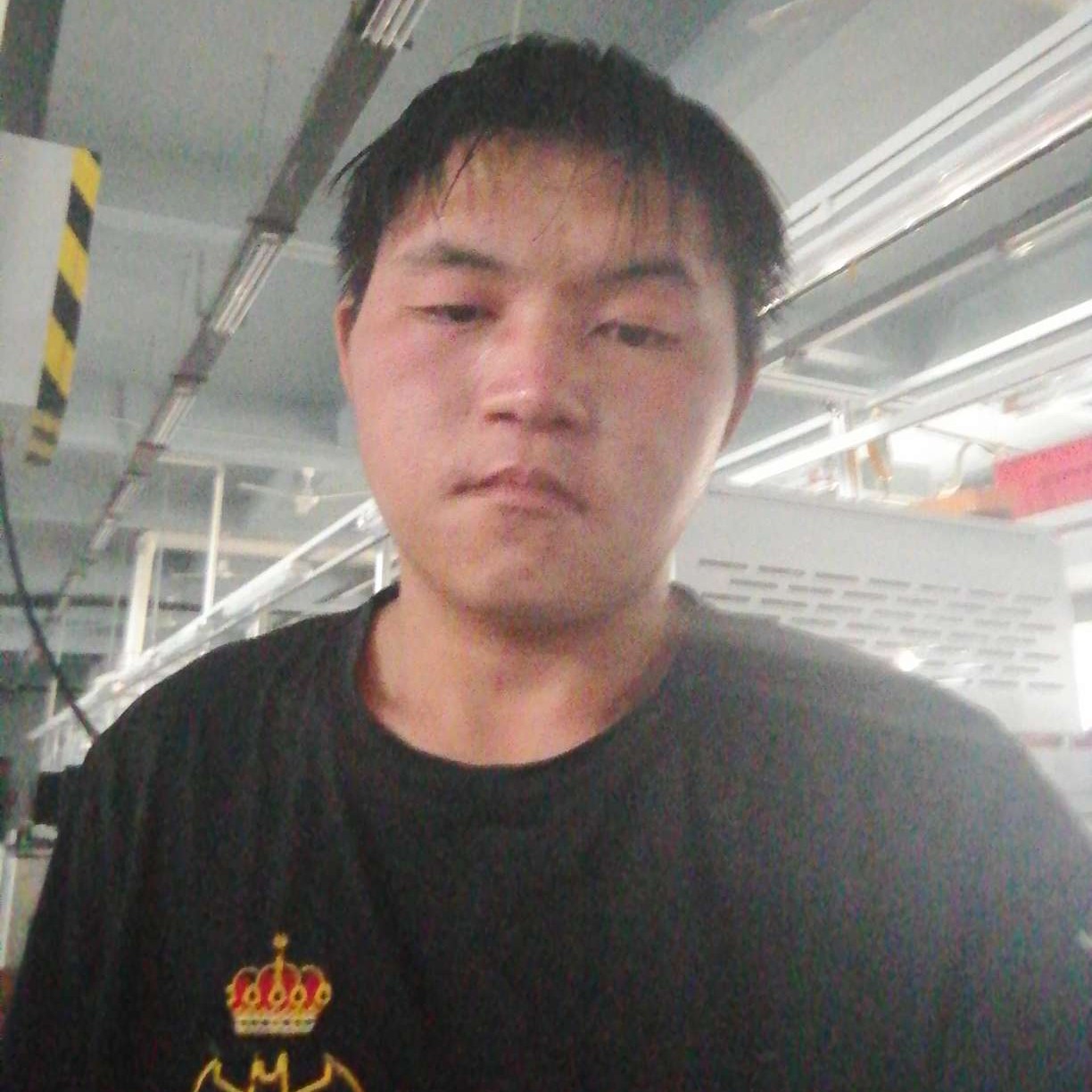 温柔红玫瑰1一的照片