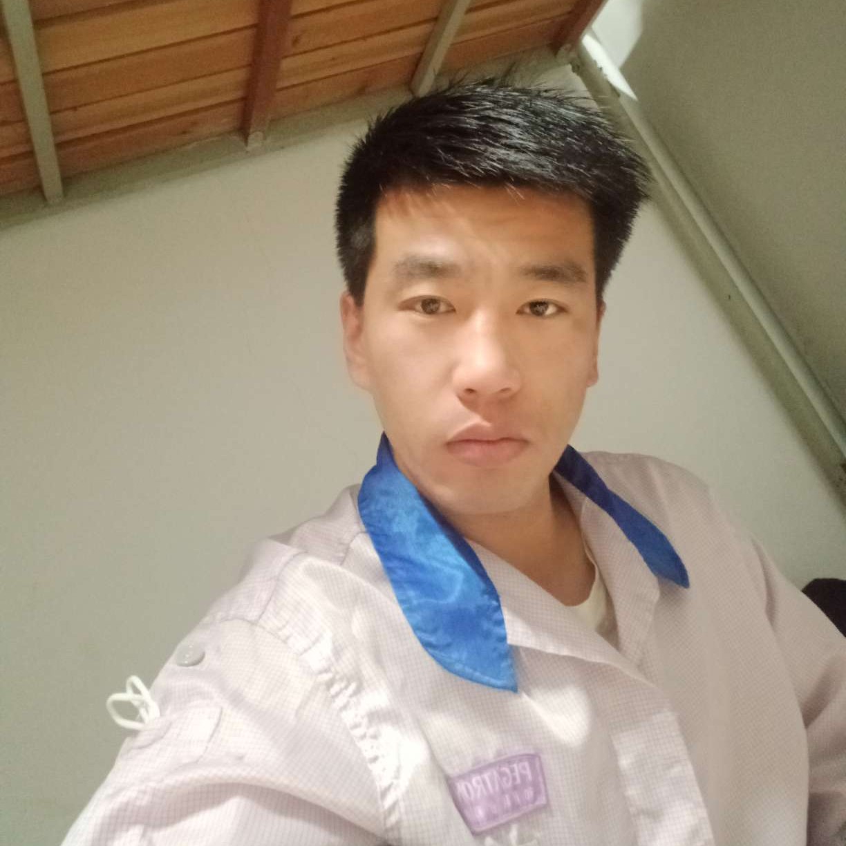 彩色演变回忆的照片