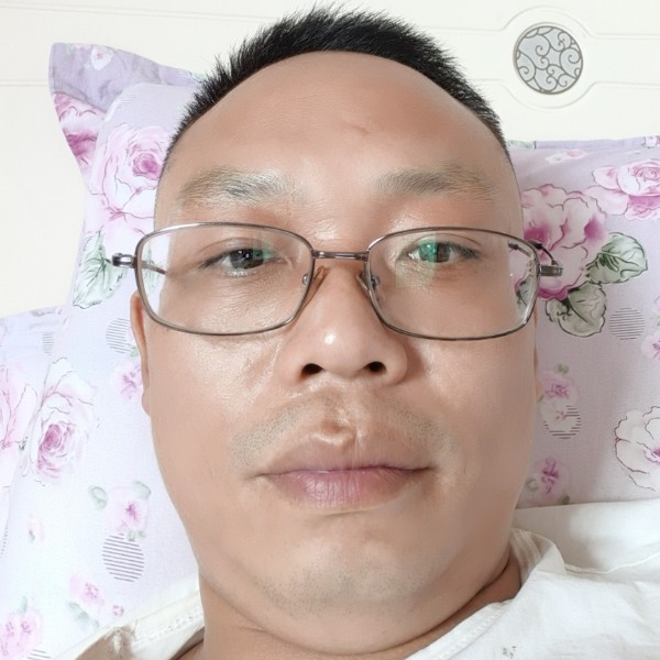 追求幸福的绵羊的照片