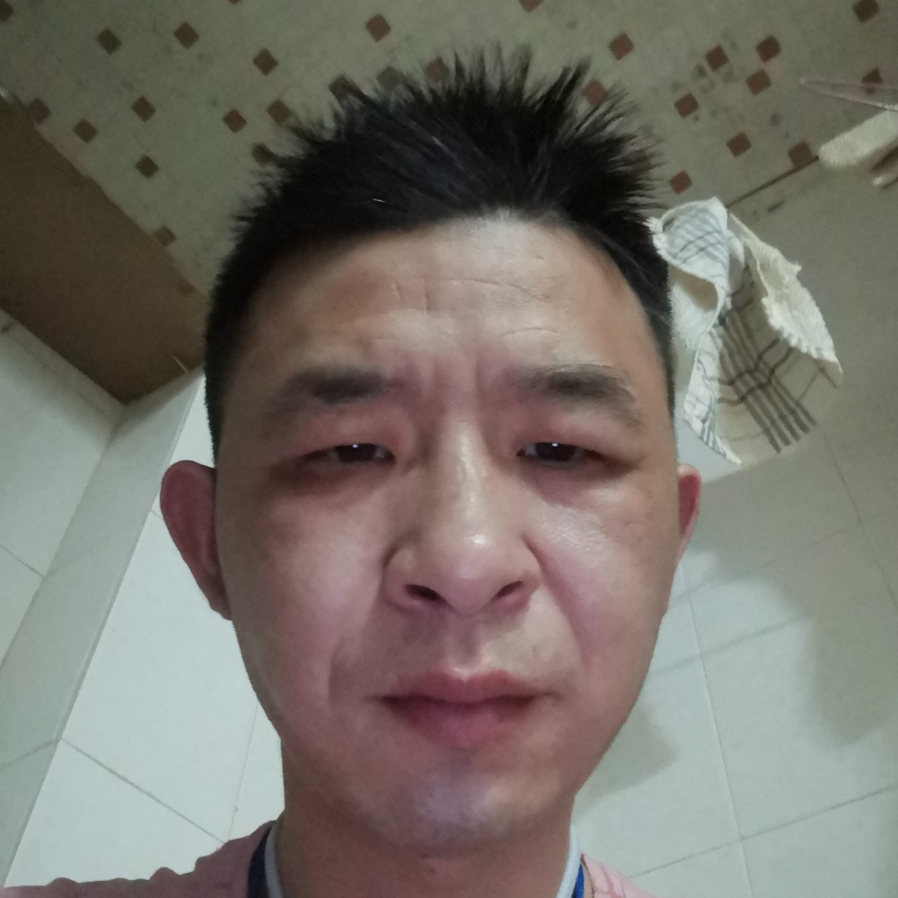 结实漫步含羞草的照片
