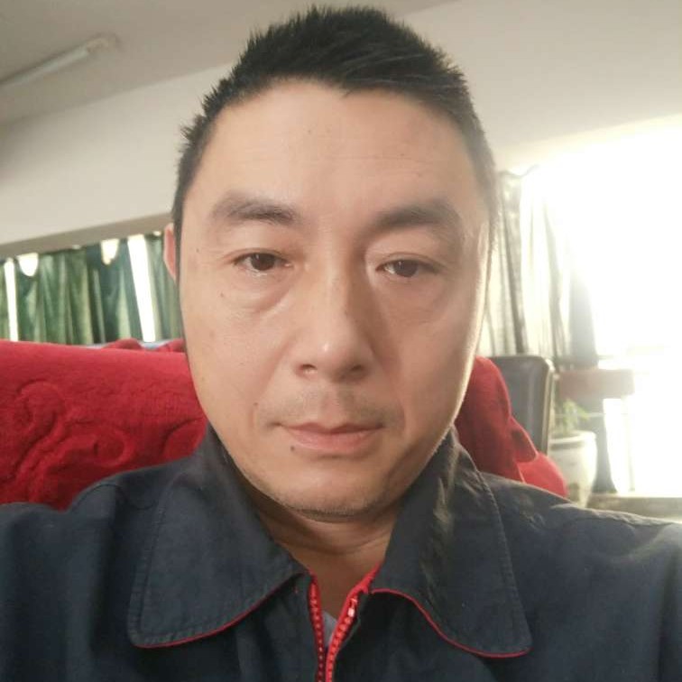 蜜蜂舒适的照片