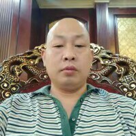 无情愿小鸽子的照片