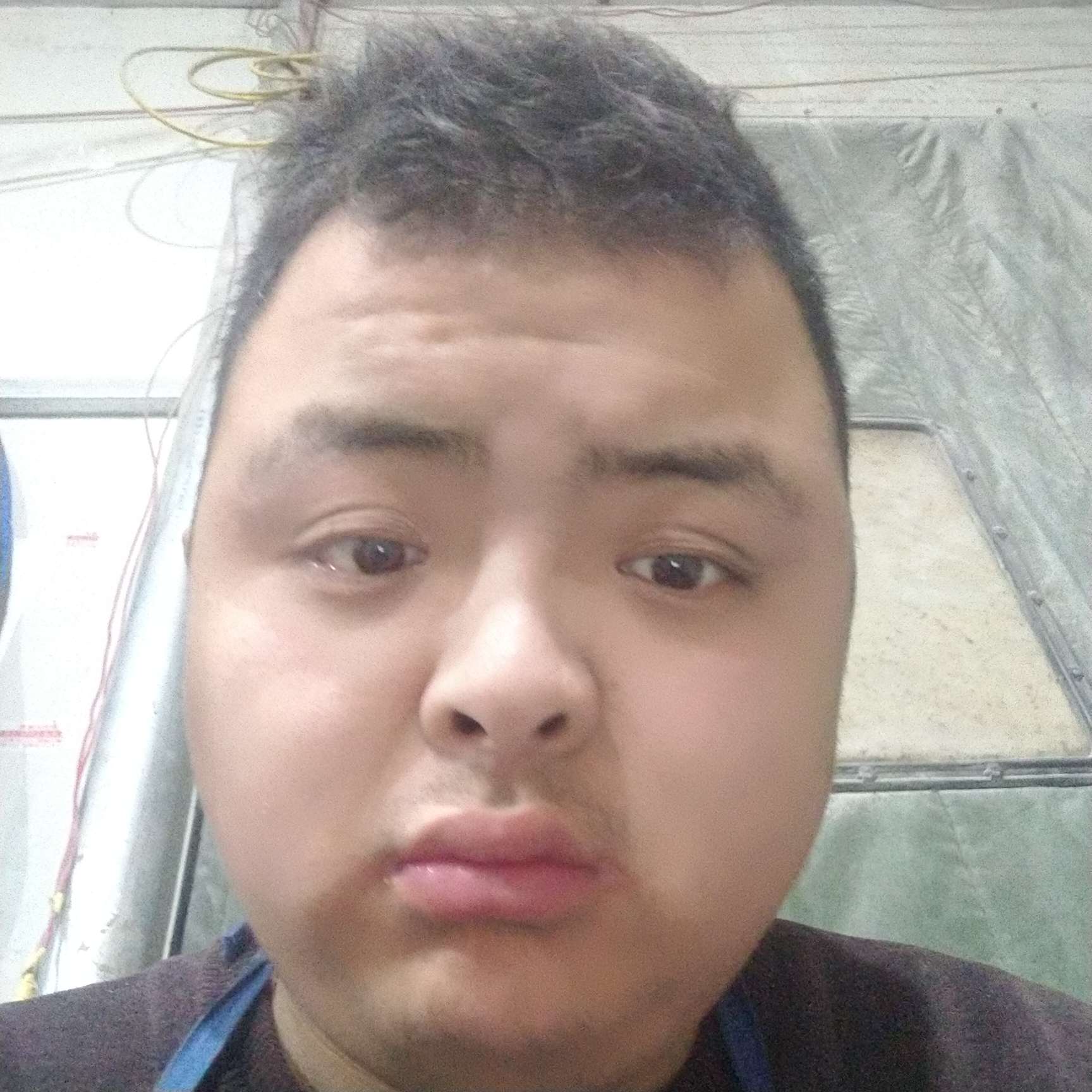 俏皮迎曲奇的照片