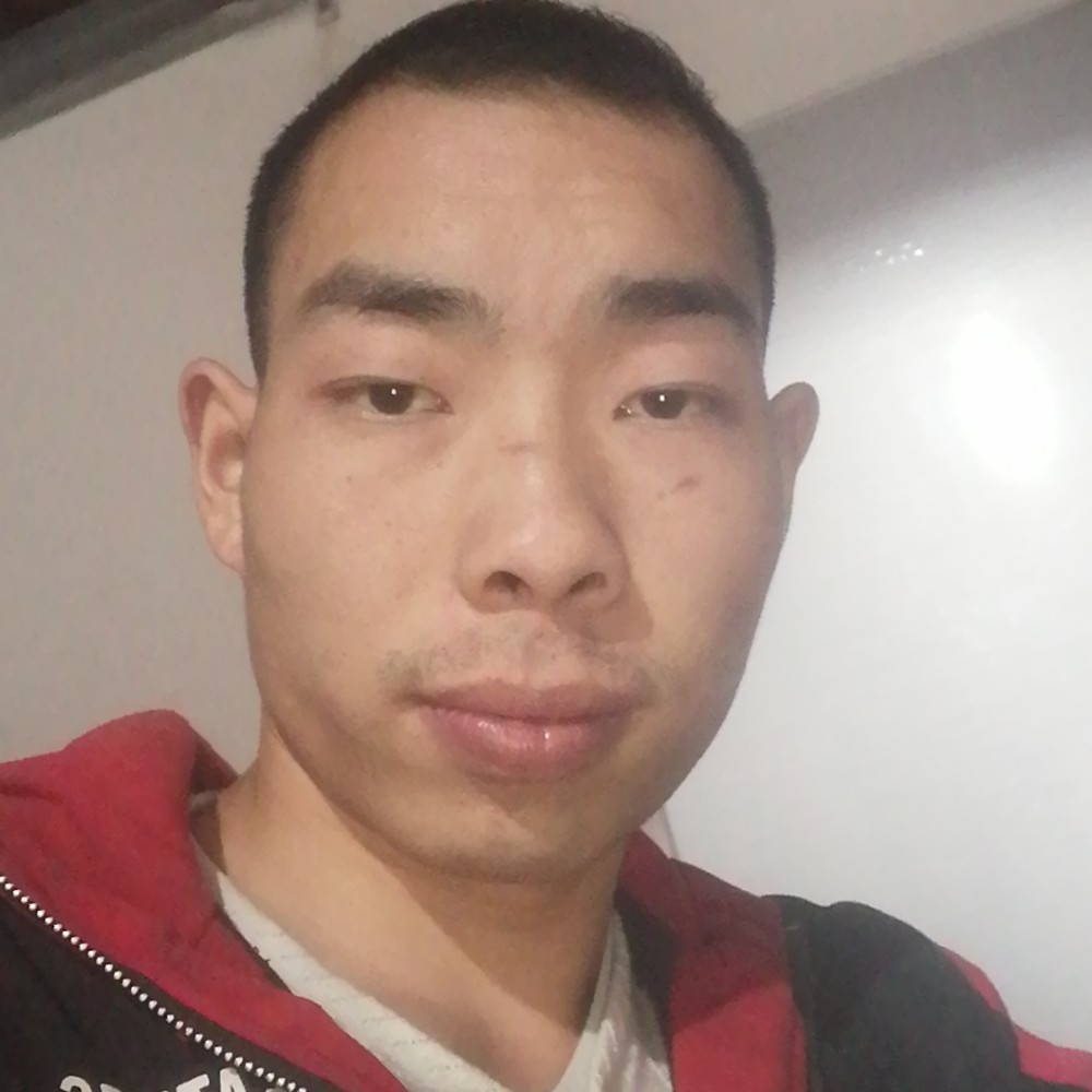 西牛疯狂的照片