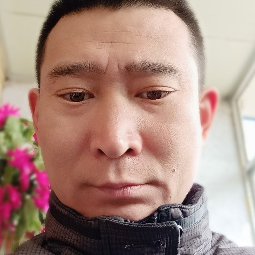 平平的拼的照片
