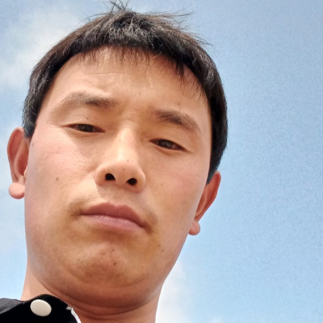 紫菜漫步机灵的照片