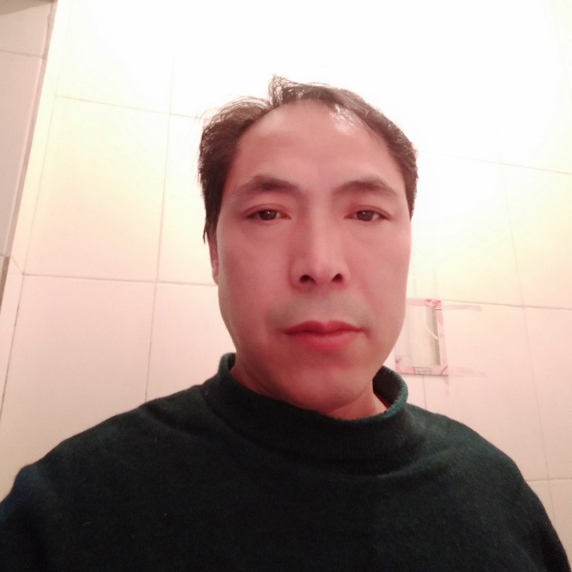 阳光迎冬日的照片