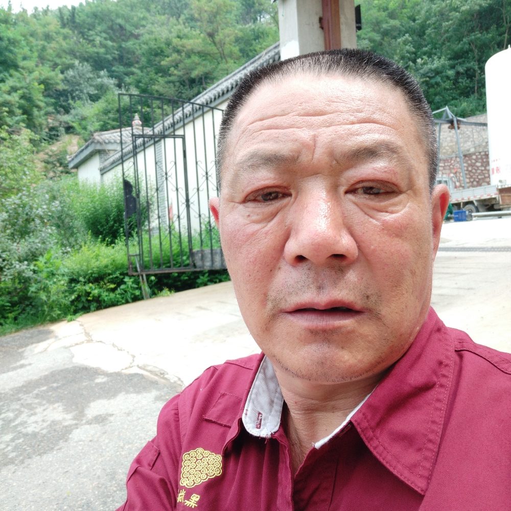 谦让漫步绿草的照片