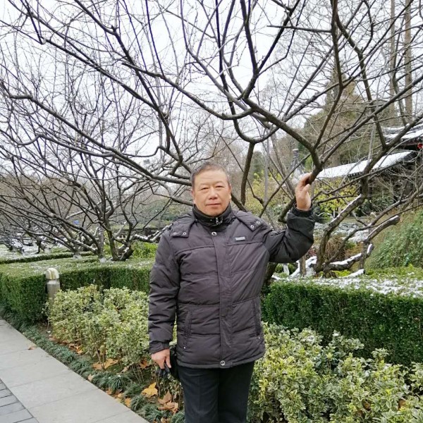 喜悦老虎的照片
