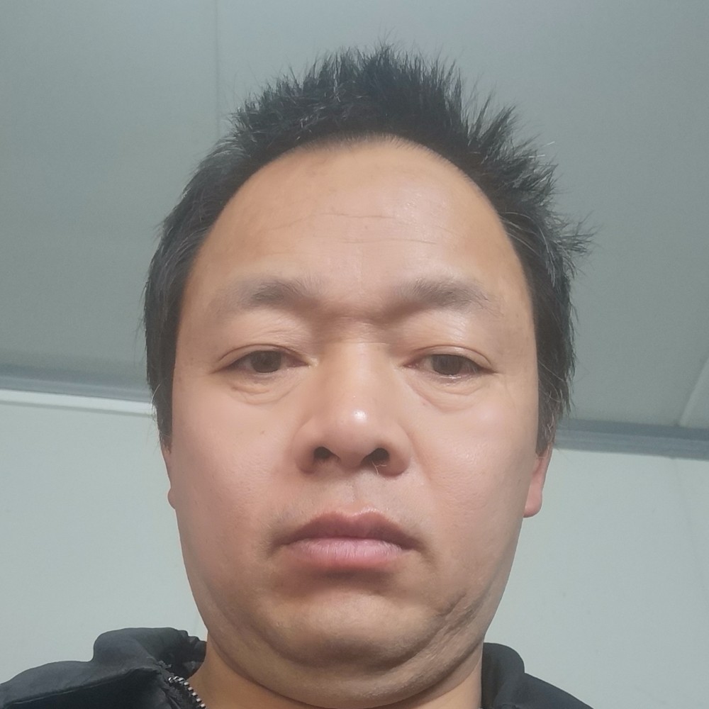 小白菜可靠的照片