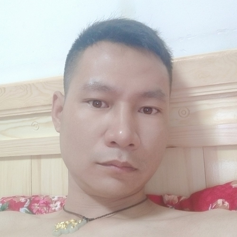 落叶归根吧的照片