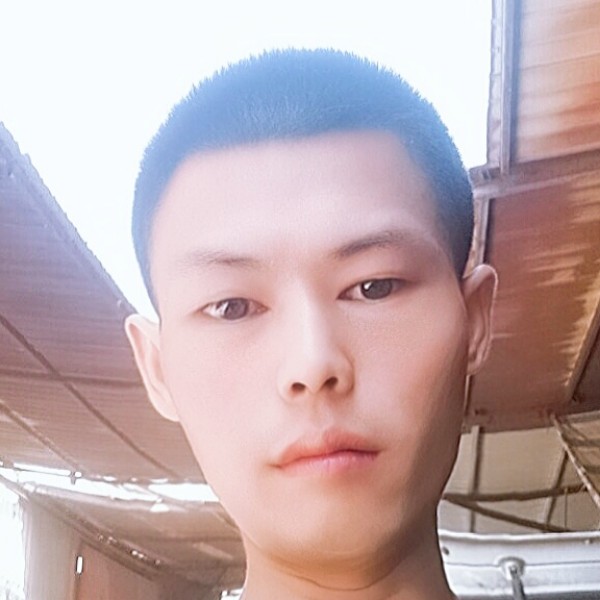 你真心我诚意的照片