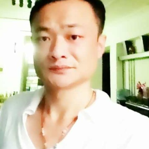 斑驳等待太阳的照片