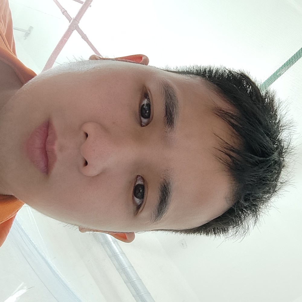 漂亮停止豆芽的照片