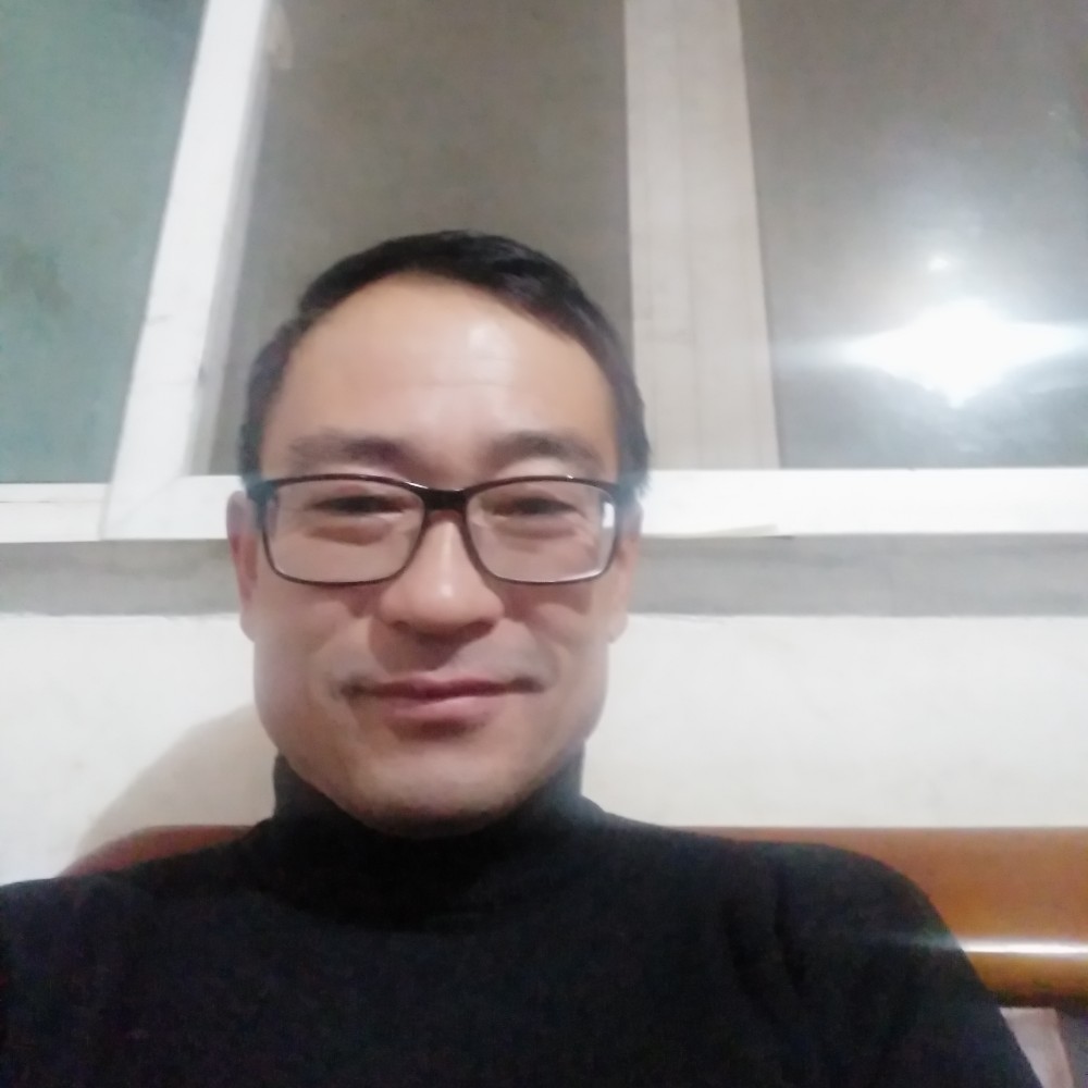 安静的兔宝宝的照片