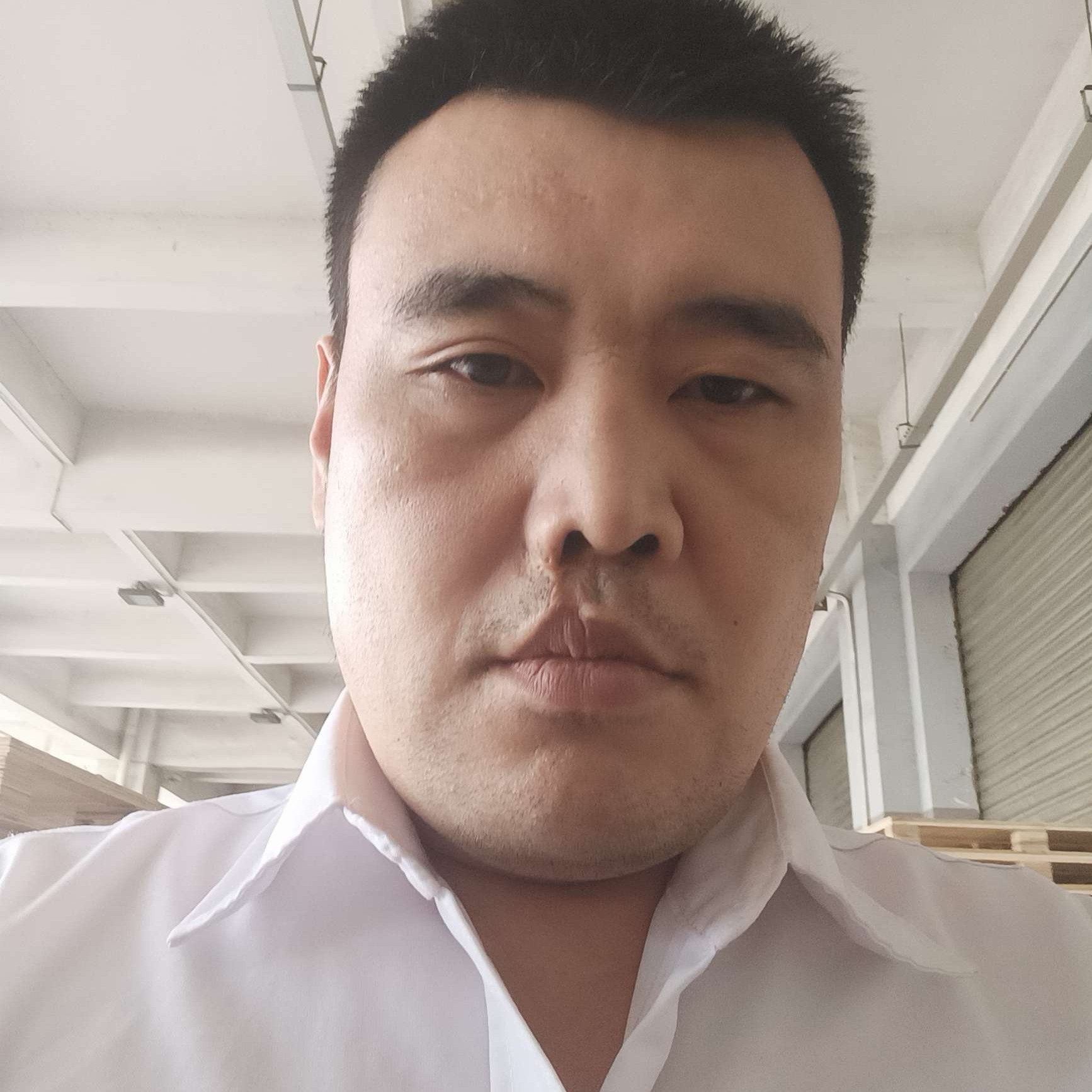 热狗用小巧的照片