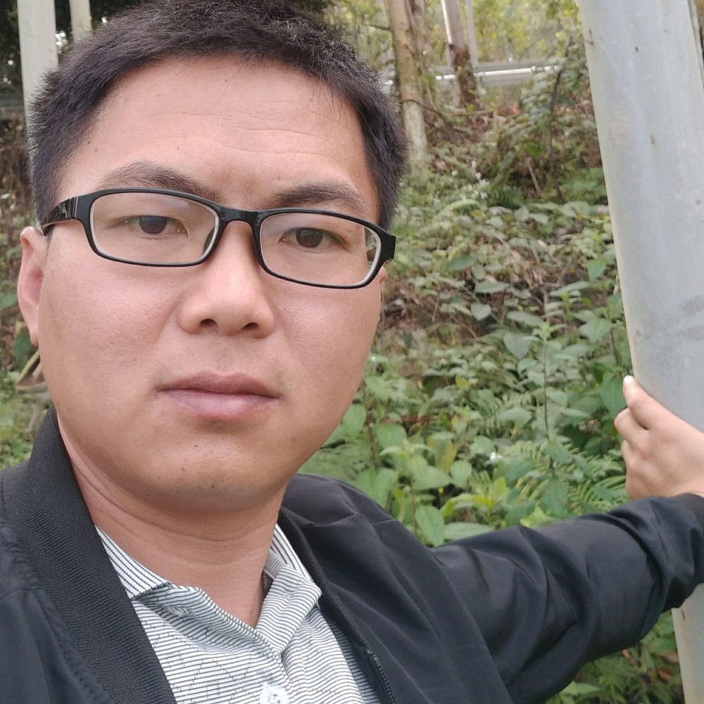 山中的花贲的照片