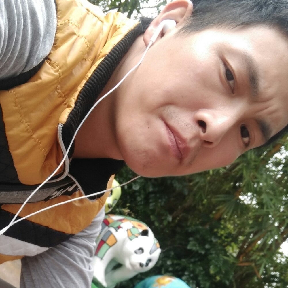 执着便当的照片
