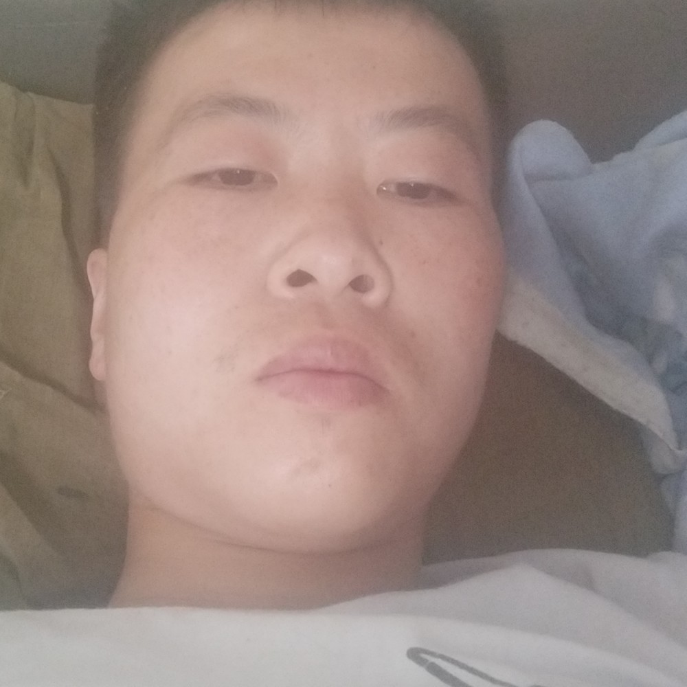 翩飞漫步草丛的照片