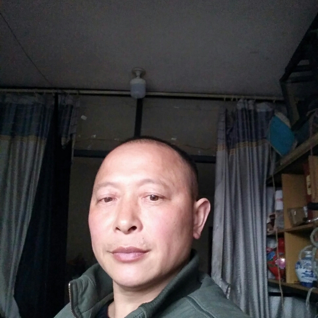柠檬万象的照片
