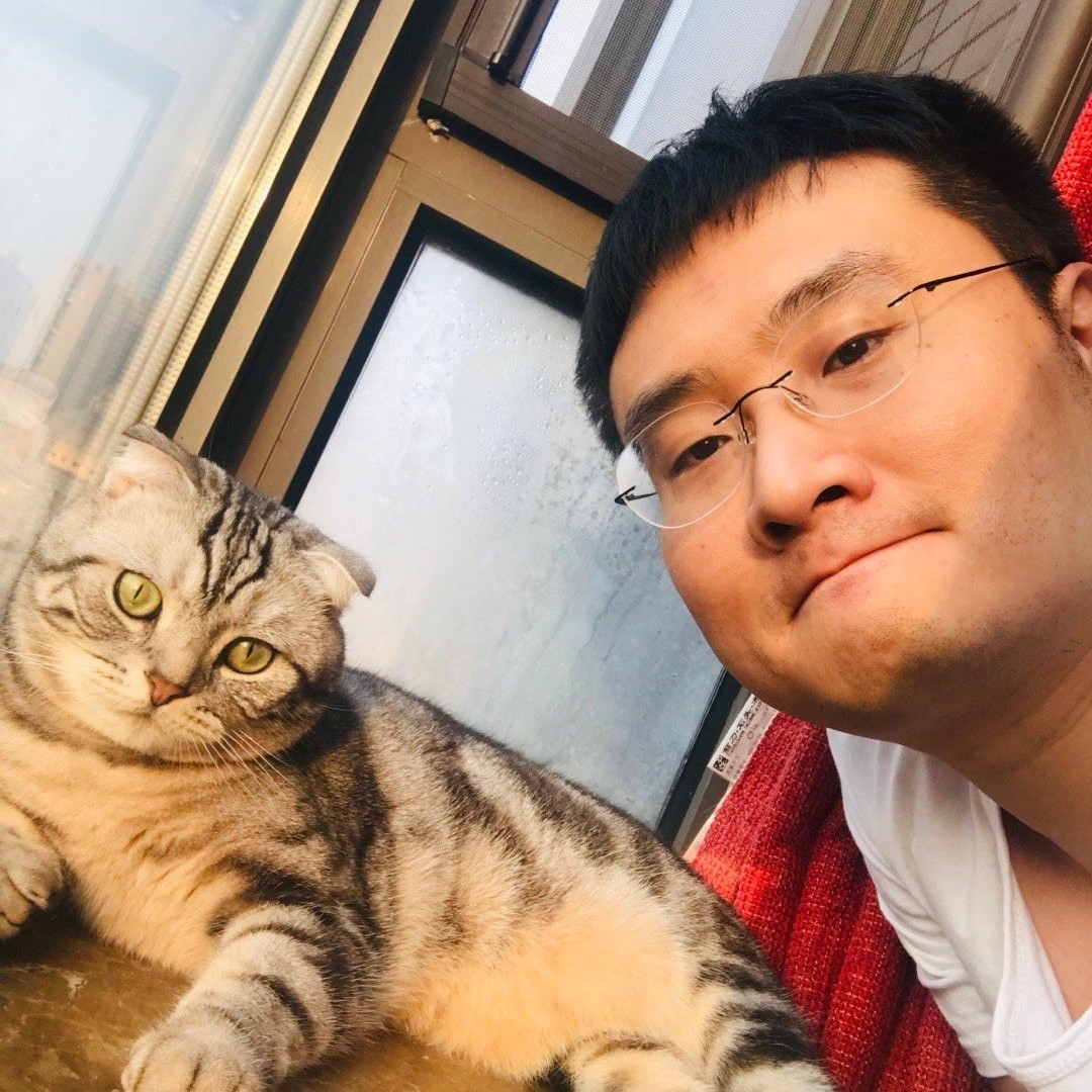 海洋没有鱼的照片