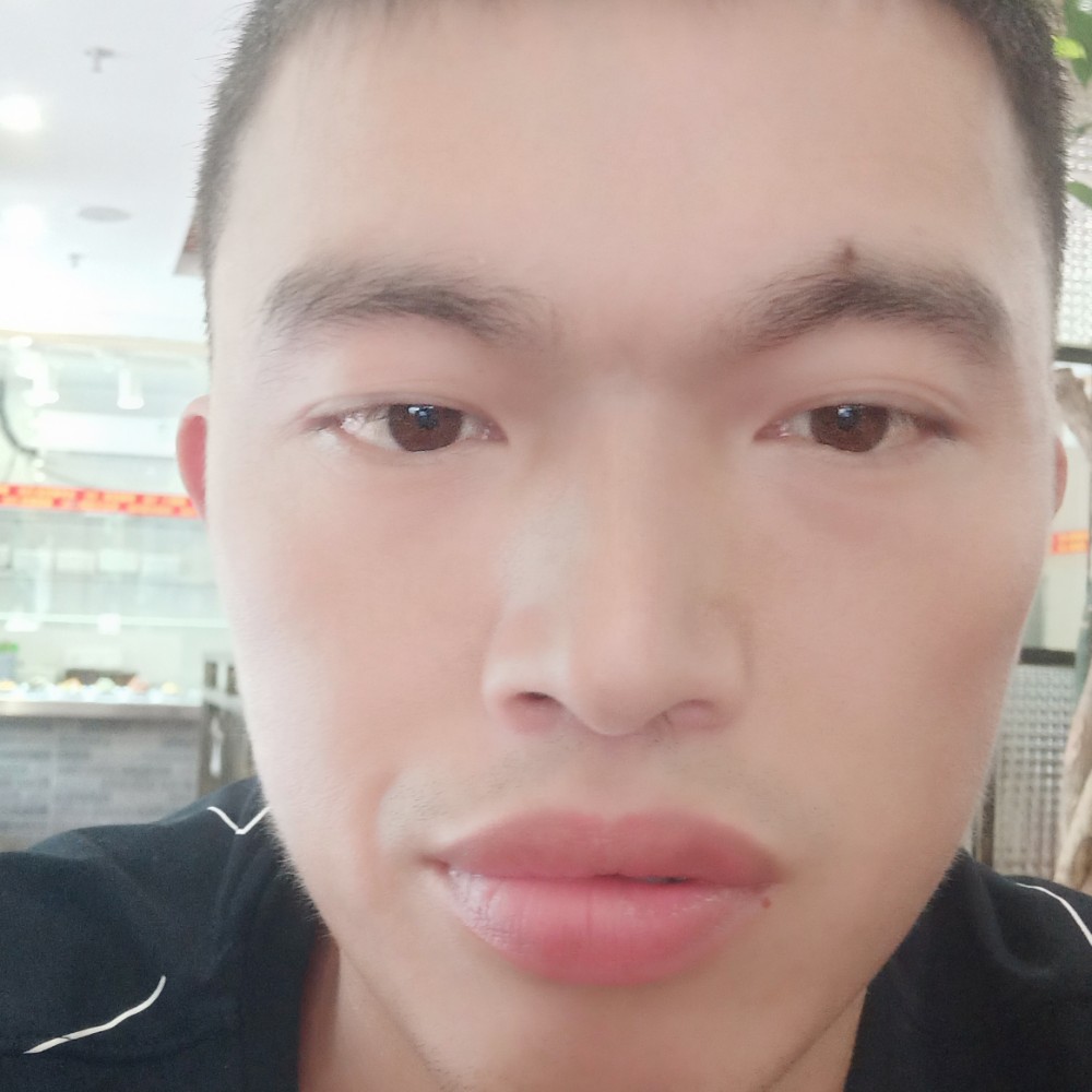 小熊猫温婉的照片