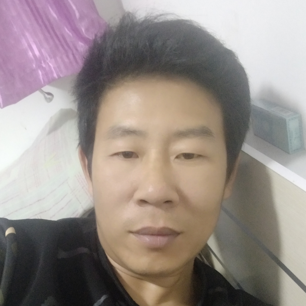 等待牵手的熊猫的照片
