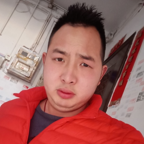 异想的牛的照片