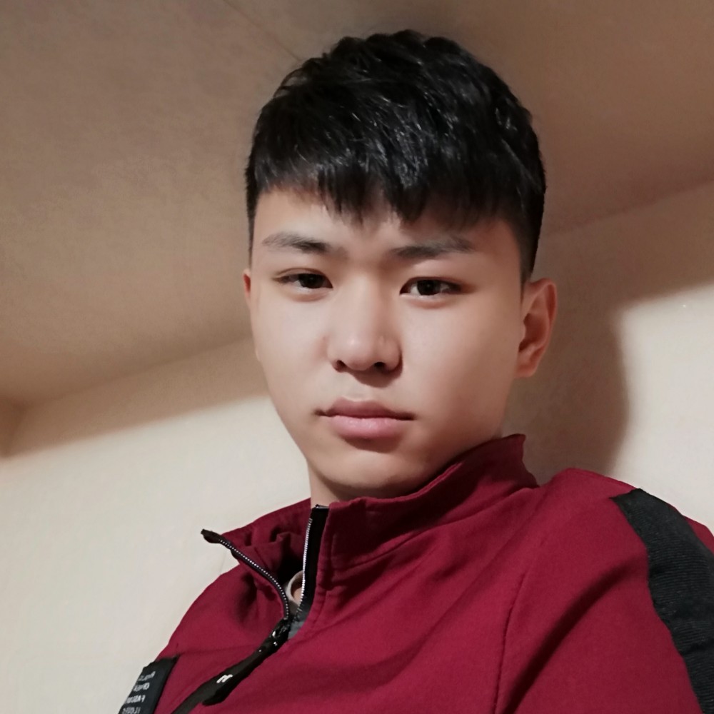 懵懂吃醋枕头的照片