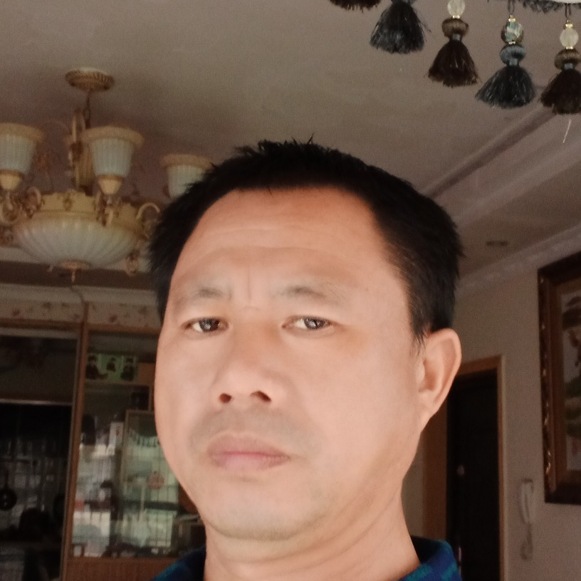 殷勤演变羽毛的照片