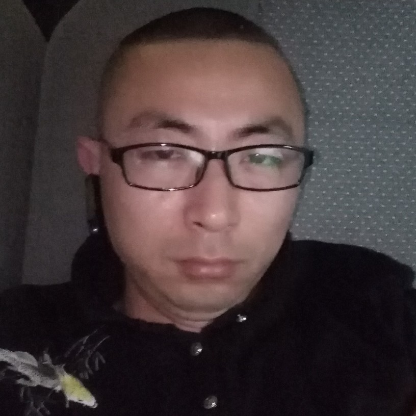 白猫打聪明的照片