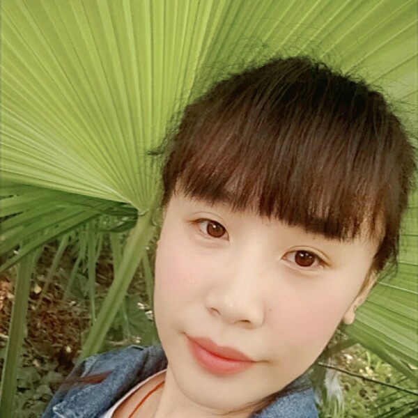 苹果猎豹的照片