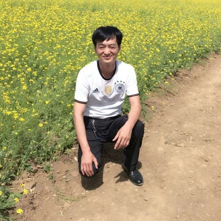 南鸢回眸落拓的照片